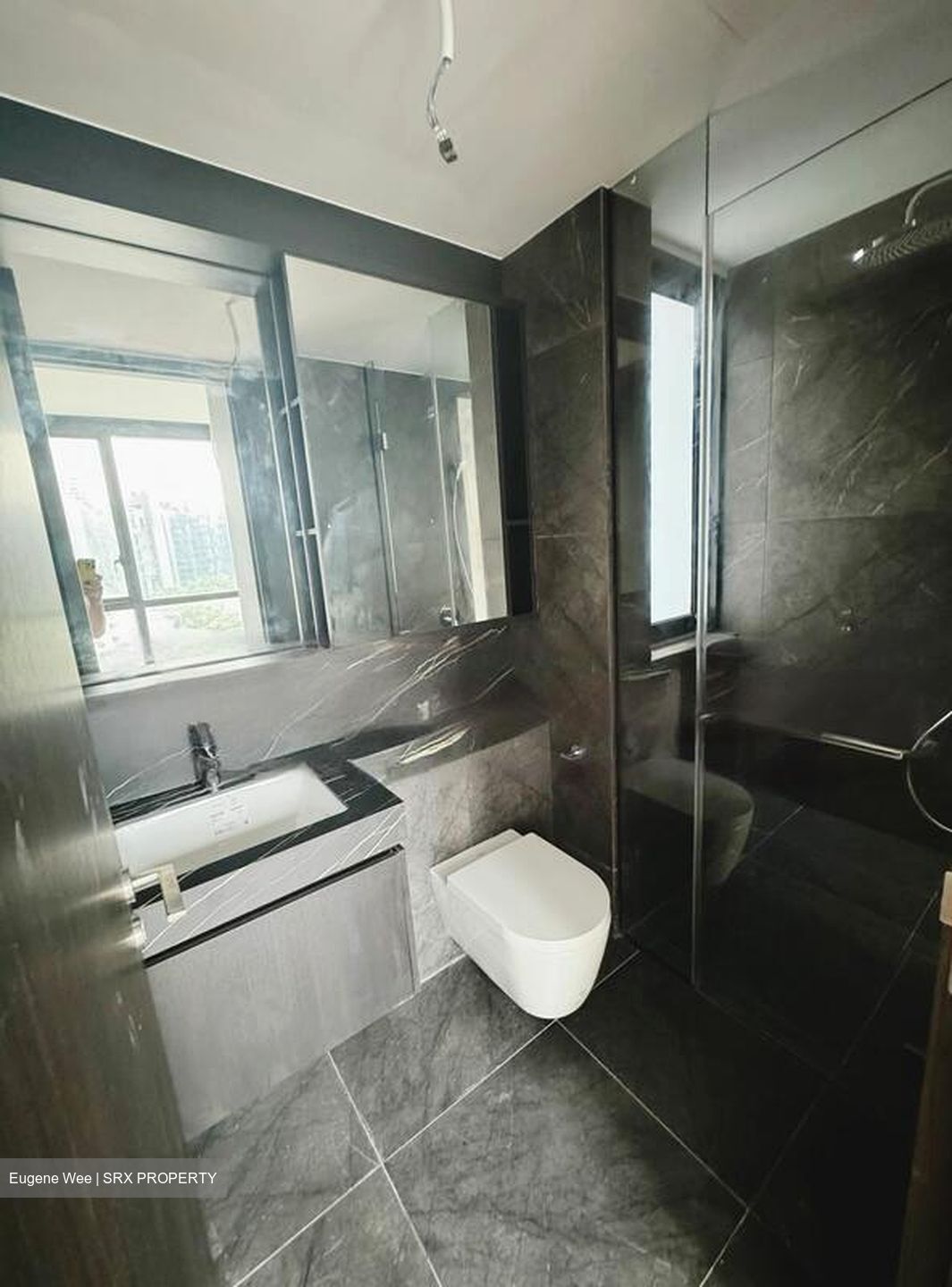 Hyll On Holland (D10), Condominium #465104291